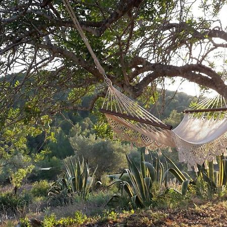 Mas De Mingall Les Tres Cales Εξωτερικό φωτογραφία